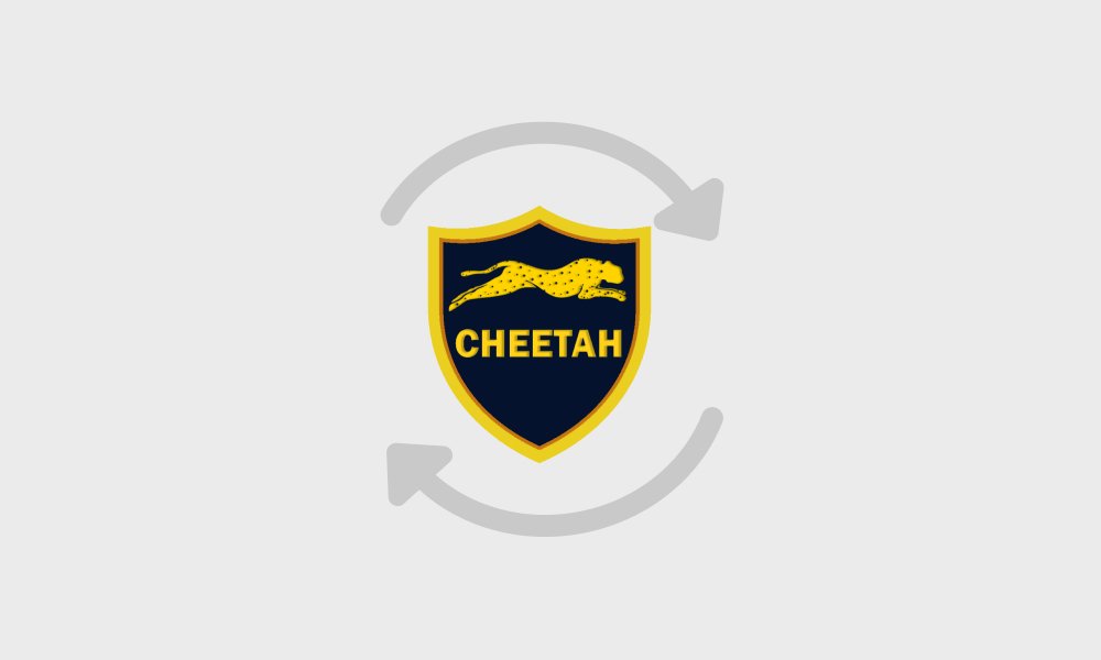 Cheetah Tool Pro Version 2025.13.07.154.0 is out! - GsmServer